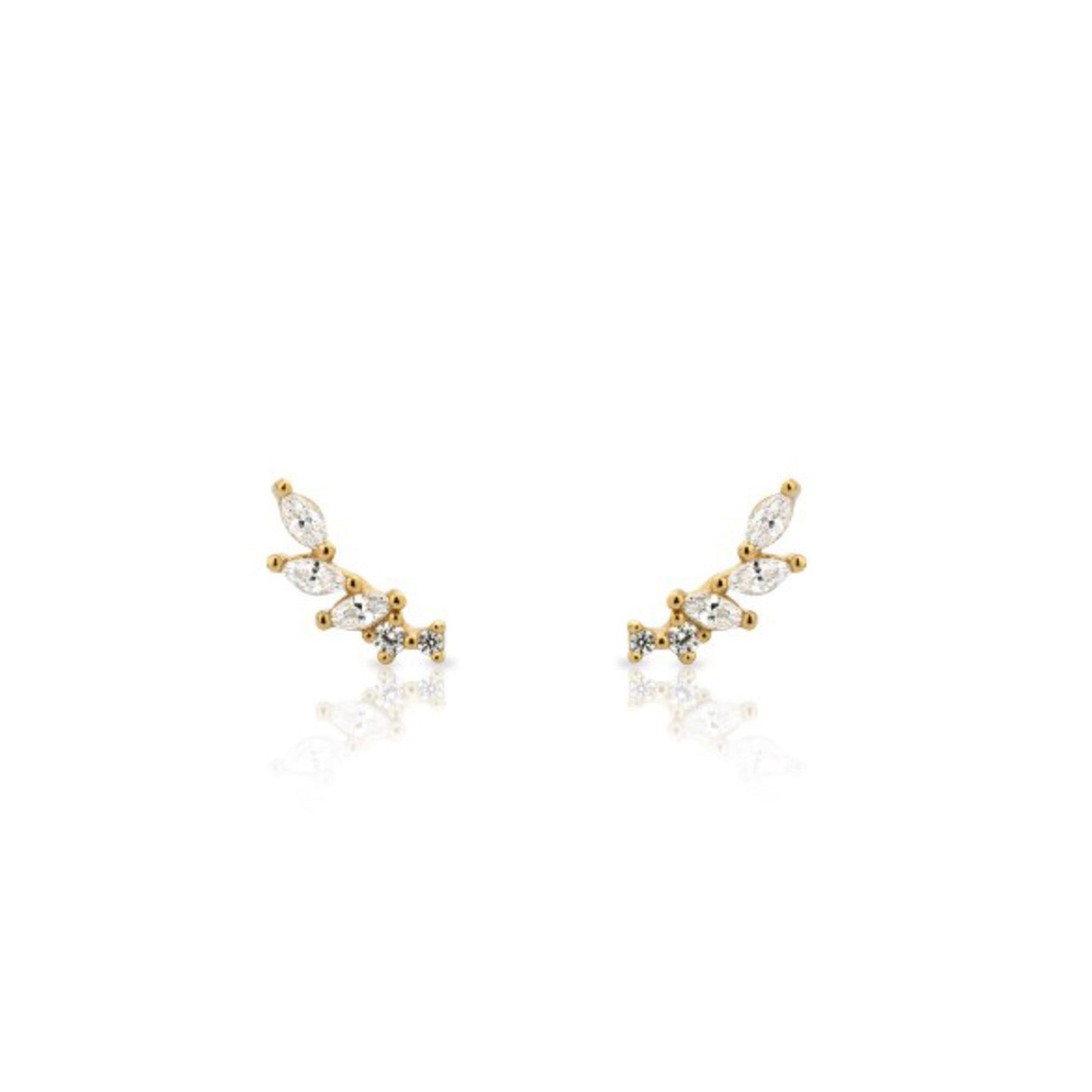 Earrings WINGS