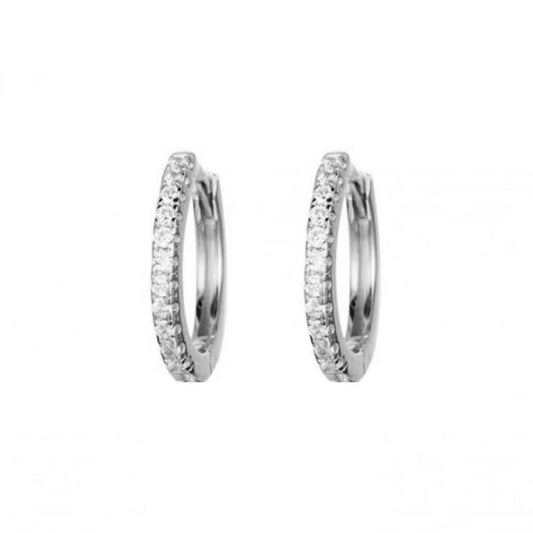 Small Shiny Hoops