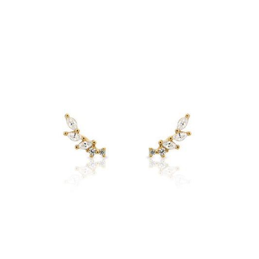 Earrings WINGS